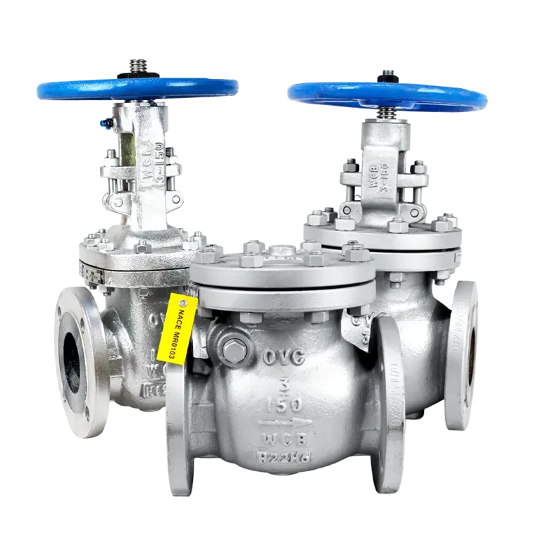 API 600 Cast Gate Globe Check Valves
