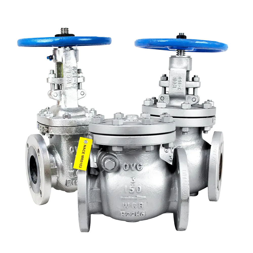 API 600 Cast Gate Globe Check Valves