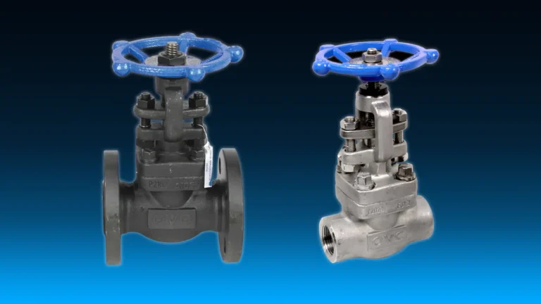 OVC Globe Valves